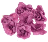 Natural Edible Sugared Petals